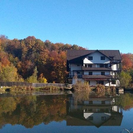 Dumbrava Soarelui Braşov Exterior foto