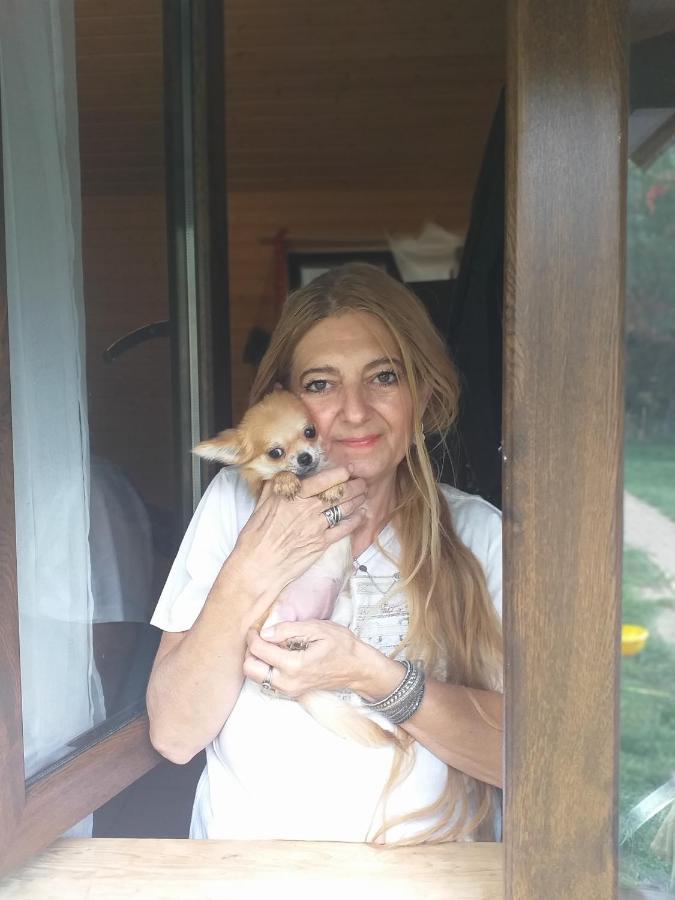 Dumbrava Soarelui Braşov Exterior foto