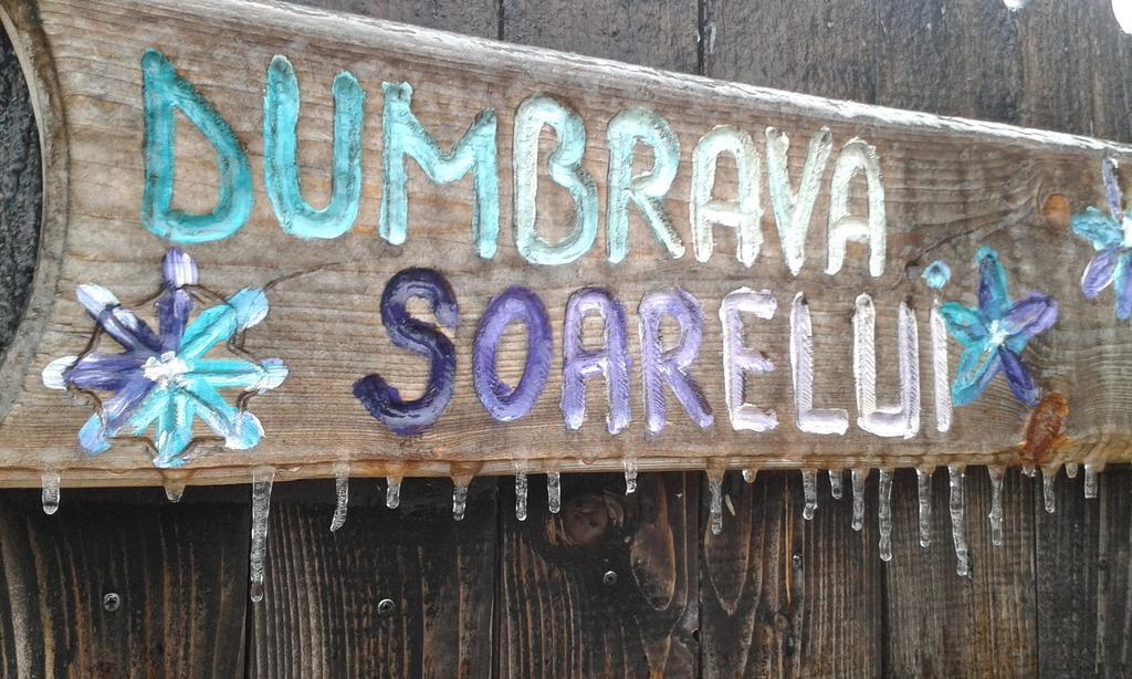 Dumbrava Soarelui Braşov Exterior foto
