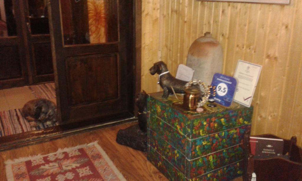 Dumbrava Soarelui Braşov Exterior foto