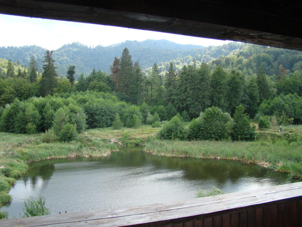 Dumbrava Soarelui Braşov Exterior foto