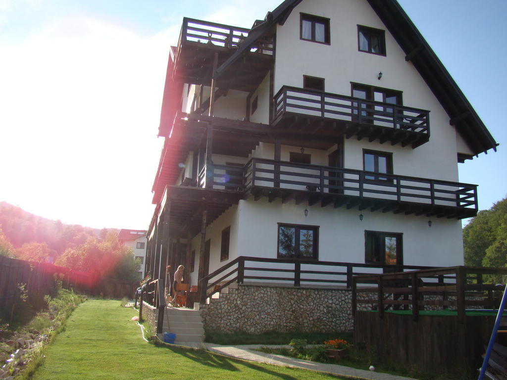 Dumbrava Soarelui Braşov Exterior foto