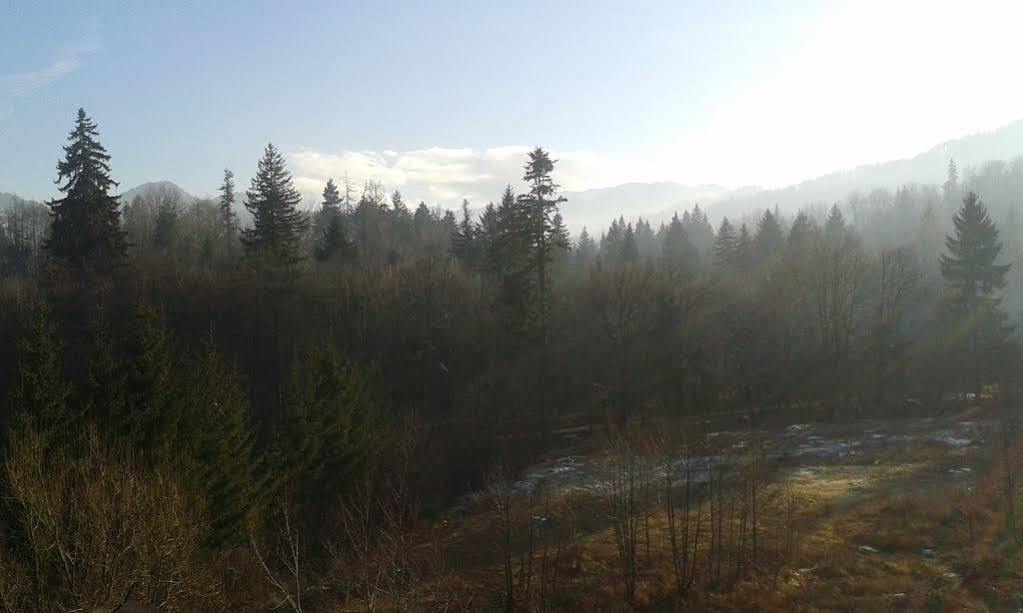 Dumbrava Soarelui Braşov Exterior foto